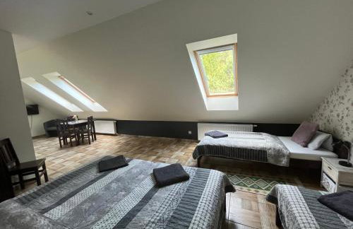 Koci Grzbiet Agroturystyka - Foto 48