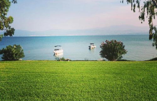 Architect designed house with pool and private beach - Photo 28