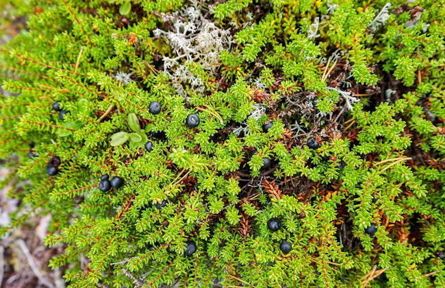 10 Person Holiday Home in Salen-by Traum - Foto 27