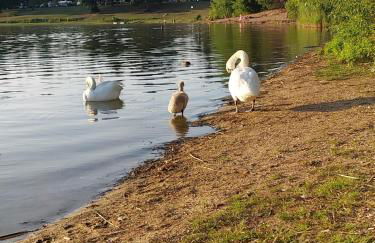 Vorwerk Wehlen - Foto 10