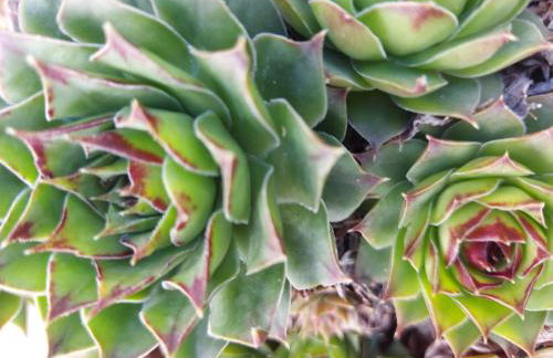 Guest House Korunić - Foto 15