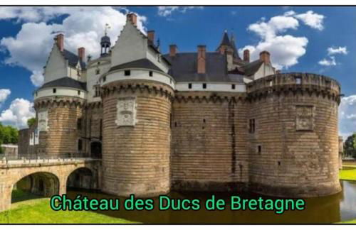 Petit Appartement Nantais - Foto 30