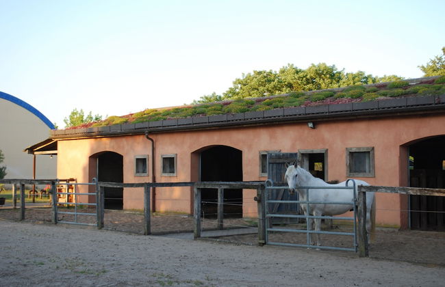 Ferienwohnung auf Pferdehof bei Neustadt - Foto 27