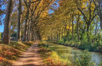 L'Argentier - Centre - Luxe - Gare - Photo 36