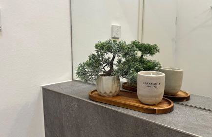 Schön Hier - im Harz - Foto 49