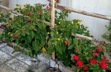 La casina di Alicia - Foto 29