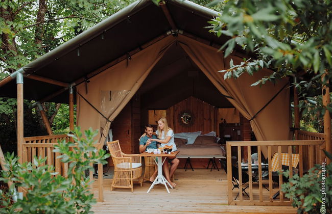 Château Léognan, Domaine viticole - proche Bordeaux - Foto 3