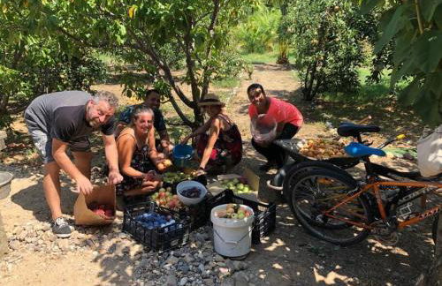 CASA RURAL EN BOSQUE DE PALMERAS - Foto 43