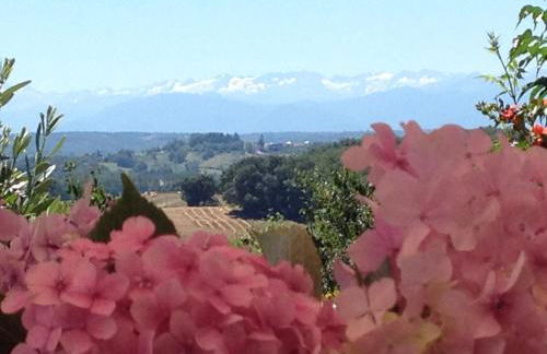 Gite Au Bouzigues - Photo 7