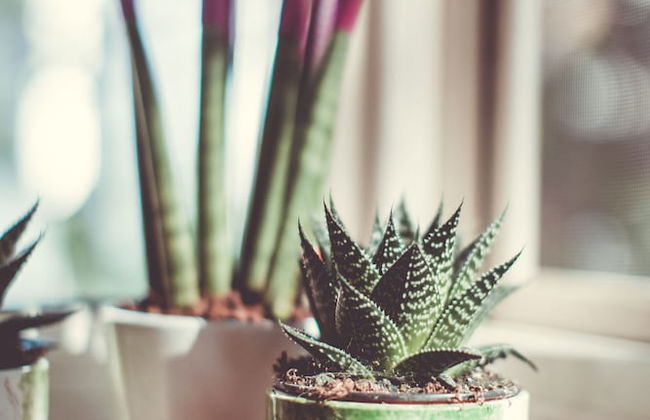 Carmel Boutique - Photo 41