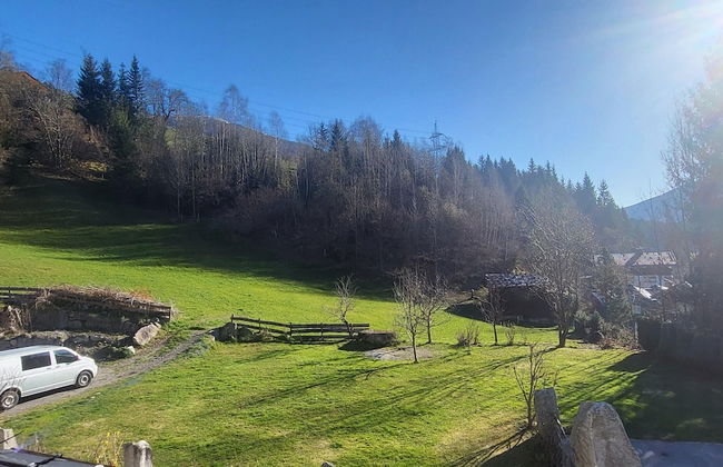 Apartment in Hohe Tauern Near Wildkogel Arena - Foto 26