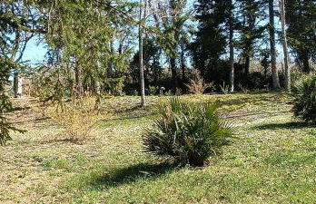 Casale La Pineta - Foto 21