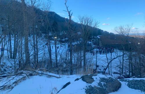 Beech Mountain Walk to Slopes Sleeps 9 Pet Friendly - Foto 66