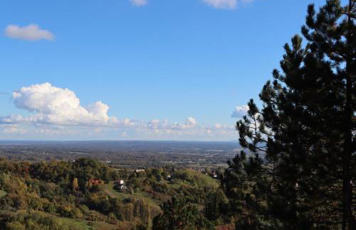 Copanjek Country House - Photo 57