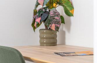 Maison Camélia Grand T2 - 1 chambre - Photo 23