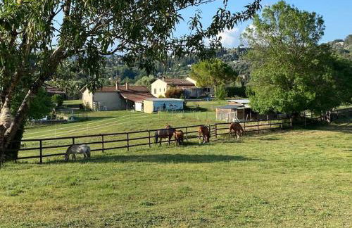 La Bastide de Jean Maison de charme dans un domaine equestre privé - Foto 47