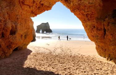 Quinta Nova 107 - Foto 18