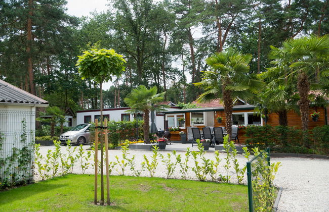 1 bedroom House in Schinveld with garden and terrace - Photo 5