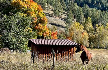Jocko River Retreat - A Nature Lovers Dream - Foto 36