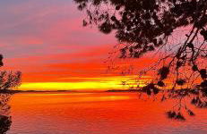 Mare i Kate Apartmani - Foto 3