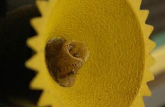 Loft com piscina natural em Cachoeiras de Macacu - Foto 51