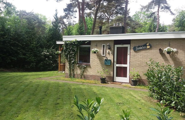 Holiday Home in Arrien Near Beerze Nature - Foto 24