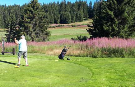 Le Mazot - Avoriaz- séjours du dimanche au dimanche - Photo 32