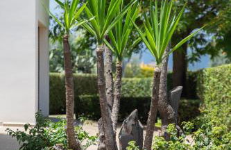 Casa Felix - Foto 32