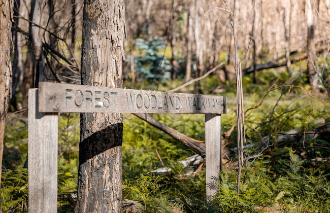 Yaraandoo Apartment - Foto 5