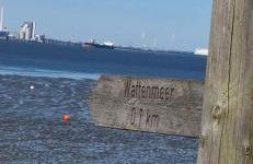 Ferienhaus Herter - Foto 33