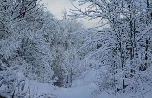 Gîte au chemin des Cordonniers - Foto 22