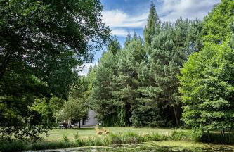 Mandala Źródła Natury SPA - Foto 7