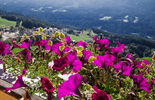 Perchnerhof - Foto 23