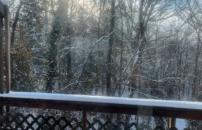 Treetops in Town - Foto 14