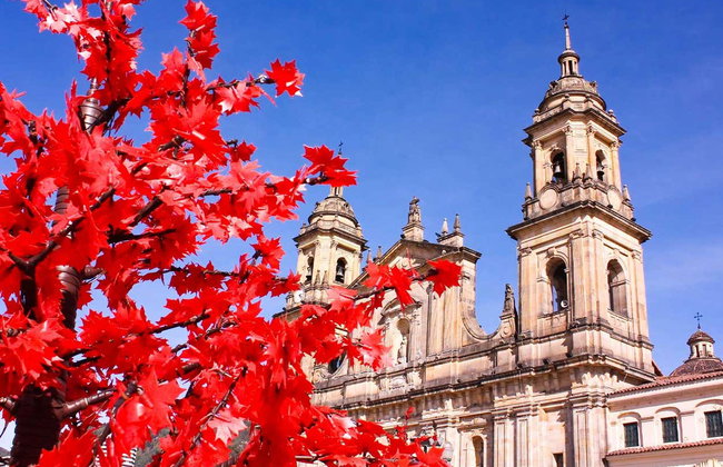 Visita guiada por Bogotá + Teléferico a Monserrate - Foto 7