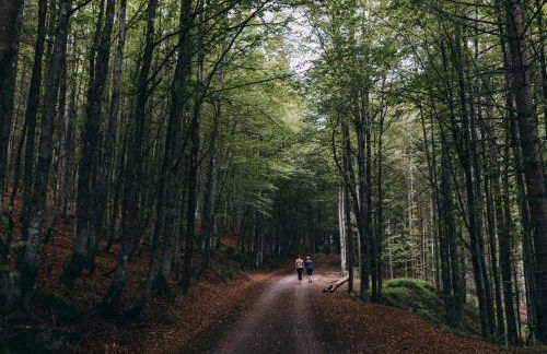 Hochburger 21 - Foto 12