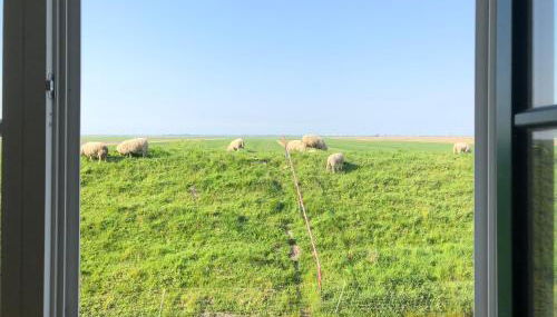 Haus Käthe am Deich - Foto 4