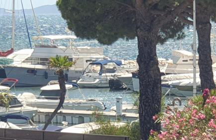 Plage Miramar - Foto 9