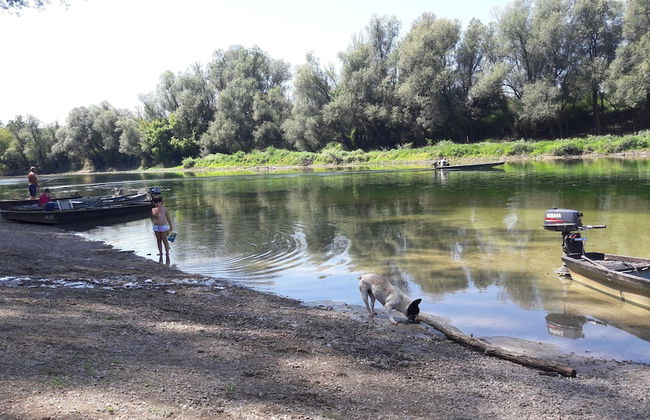 Green Retreat Kuca uz Rijeku za Savrseni Odmor - Foto 52