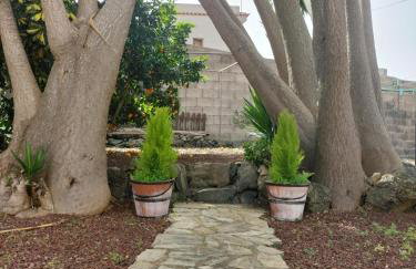 La ROSA VIEJA - Foto 34