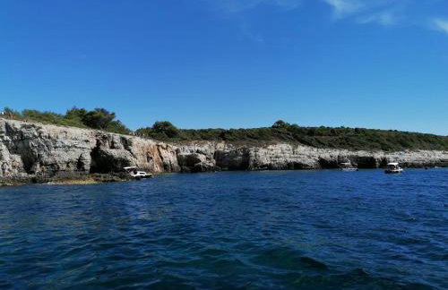 Apartmenthaus Viktoria - Foto 11