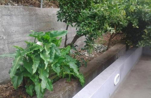 Villa panoramique 180m2 Vue Montagne 13 min Capitale Funchal - BBQ - Foto 11