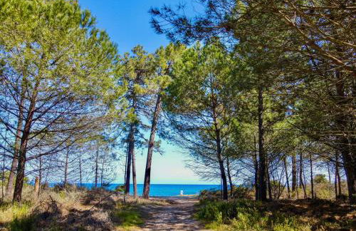 E case di u Puntale - Foto 16