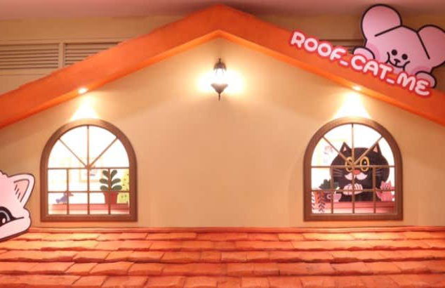 Entrada a la cafetería Roof Cat Me en Seúl - Foto 1