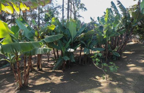 Chácara do Sapé - Foto 21