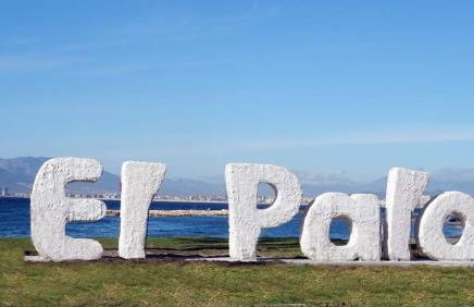 Apartamento Plumaria - Photo 41