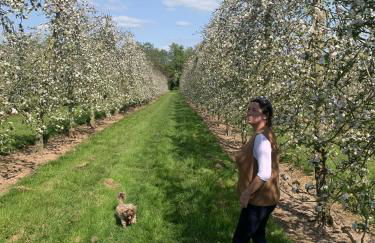 Welsh Cottage - Foto 35