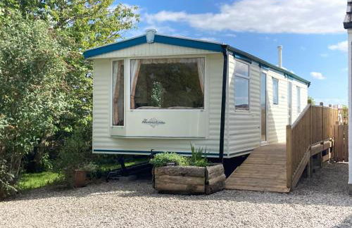 Clashmore Wood - Foto 26