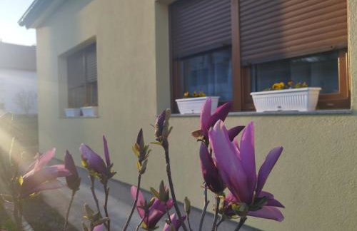 Kuća za odmor Dankica - Foto 31