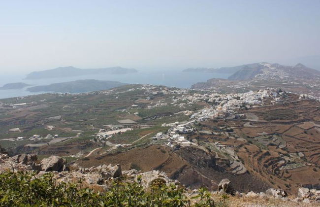 La Dégustation de Vin de Santorin - Visite Privée - Photo 2